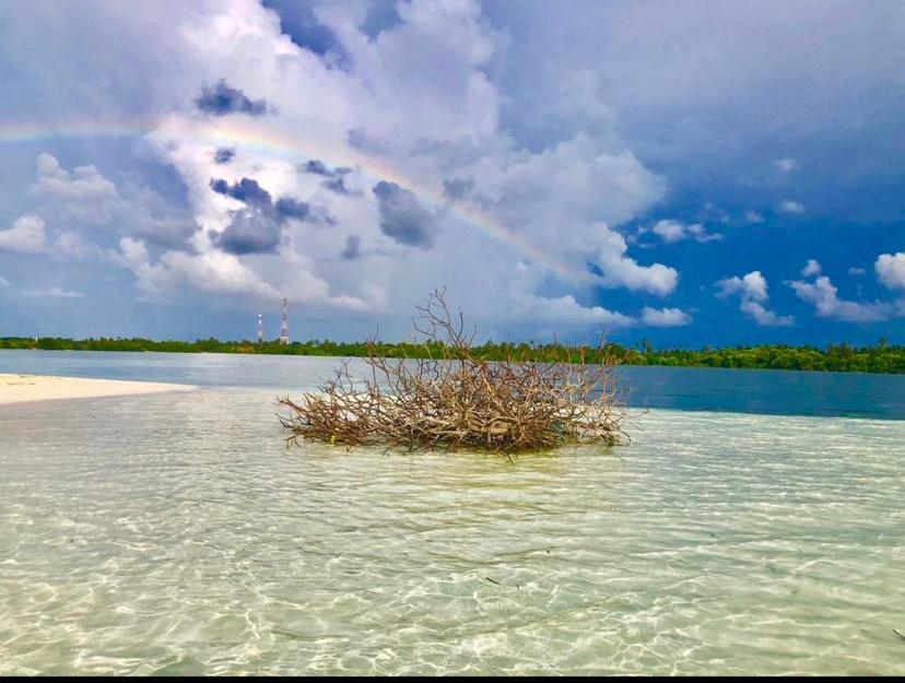 Sunview Residence Kaashidhoo Kültér fotó