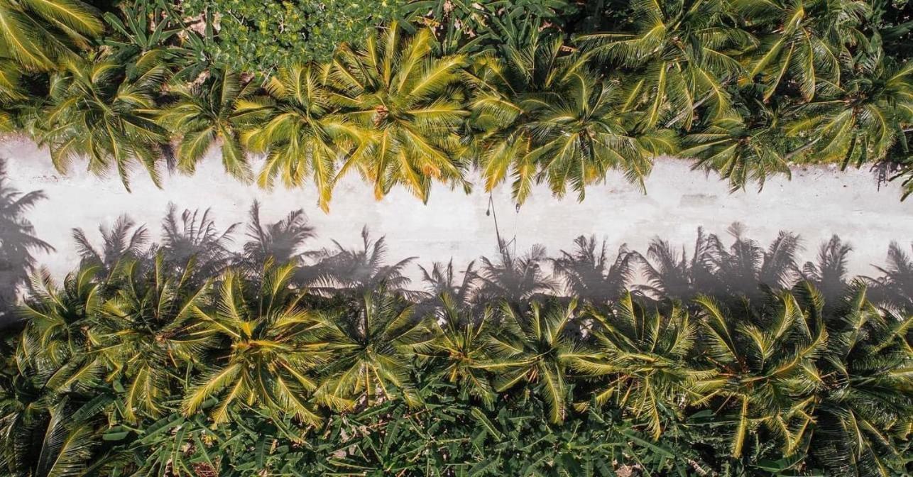Sunview Residence Kaashidhoo Kültér fotó